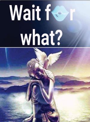 Book cover of Wait for What?