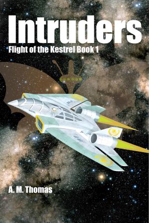 Cover of the book Intruders (Flight of the Kestrel book 1) by Wendy Lynn Clark