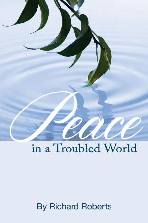 Cover of the book Peace in a Troubled World by Naomi McCullough