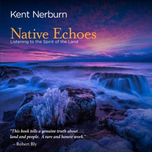 Cover of the book Native Echoes by Ivan King