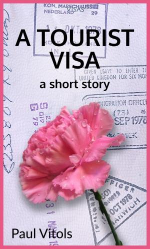 Book cover of A Tourist Visa