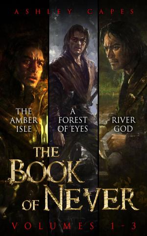 Cover of The Book of Never