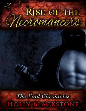 Cover of the book Rise of the Necromancers: The Void Chronicles 2 by Emilya Layke