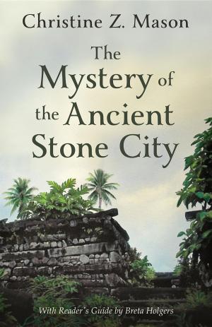 Book cover of The Mystery of the Ancient Stone City