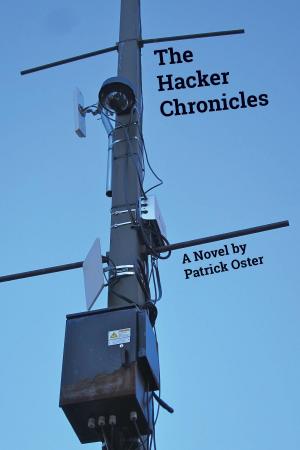 Book cover of The Hacker Chronicles