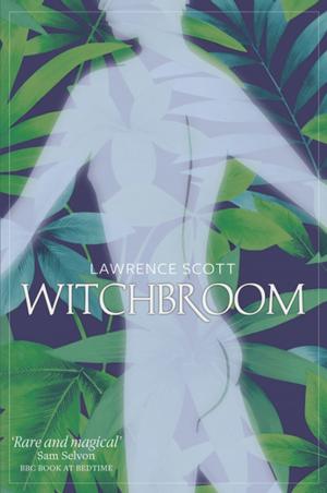 Book cover of Witchbroom