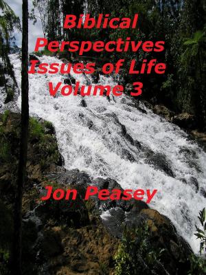 Book cover of Biblical Perspectives Issues of Life Volume 3