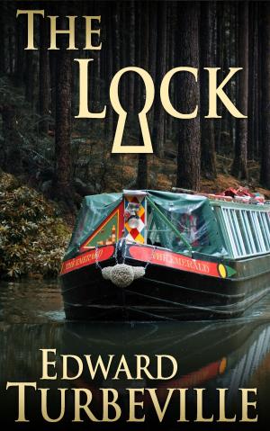 Cover of the book The Lock by Peter C. Bradbury