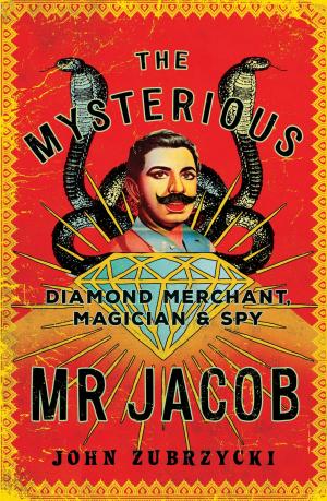 Cover of the book The Mysterious Mr Jacob by Rachel Matthews