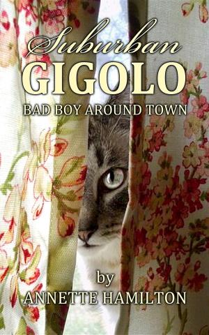 Cover of the book Suburban Gigolo by Tim Rowland