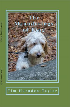 Cover of the book The Meanderings of Bing by Kate Jaimet