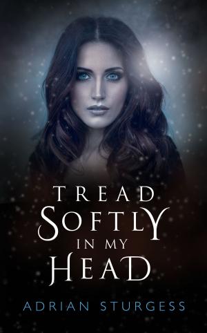 Cover of the book Tread Softly In My Head by JP McLean