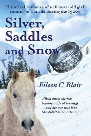 Cover of the book Silver, Saddles and Snow by Tiya Miles