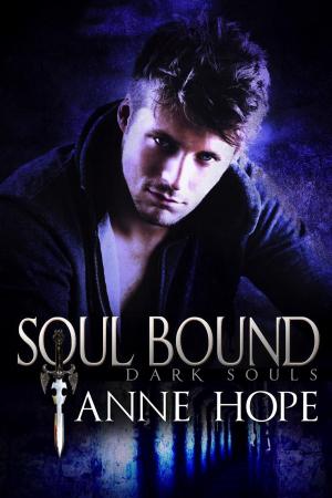 Cover of the book Soul Bound by JM VanZuiden