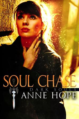 Cover of Soul Chase