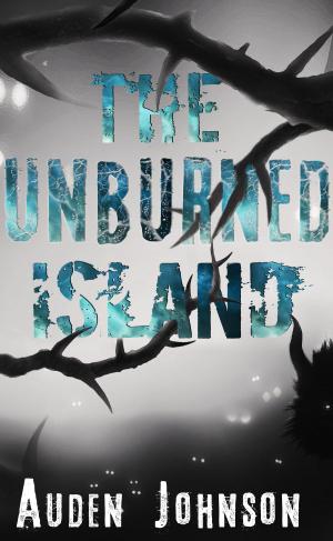 Book cover of The Unburned Island