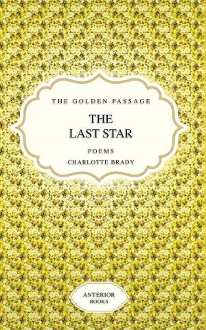 Cover of the book The Last Star by Jim Piekarski