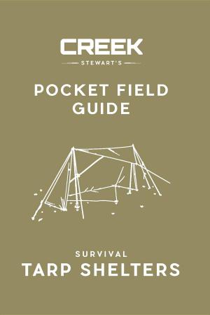 Cover of the book POCKET FIELD GUIDE by Steve Weber