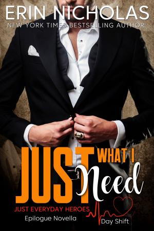 Cover of the book Just What I Need by David George Richards