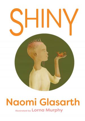 Book cover of Shiny