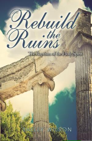Cover of the book Rebuild the Ruins by Holly Barker