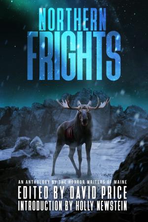 Cover of the book Northern Frights by Joe McKinney, Michael McCarty