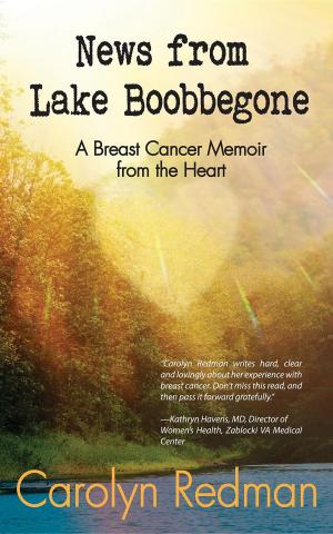 Cover of News from Lake Boobbegone