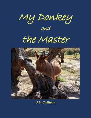 Cover of the book My Donkey and the Master by Jean Plaidy