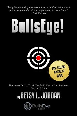 Book cover of BullsEye!