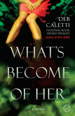 Cover of the book What's Become of Her by Steve Cash