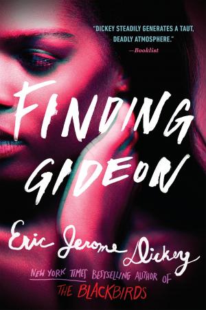 bigCover of the book Finding Gideon by 