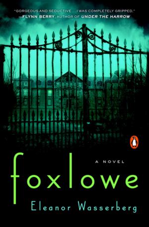 Cover of the book Foxlowe by Dave Balter