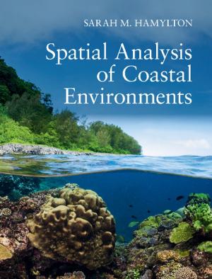 Cover of the book Spatial Analysis of Coastal Environments by Bharat H. Desai