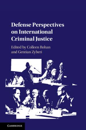 Cover of the book Defense Perspectives on International Criminal Justice by Brian Conrad, Ofer Gabber, Gopal Prasad