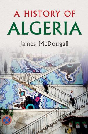 Cover of the book A History of Algeria by Robert F. Lusch, Stephen L.  Vargo