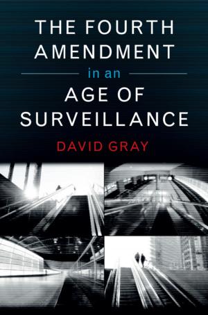 Cover of the book The Fourth Amendment in an Age of Surveillance by Bjarke Frellesvig