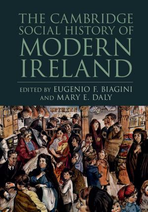 Cover of the book The Cambridge Social History of Modern Ireland by Jakob de Haan, Sander Oosterloo, Dirk Schoenmaker