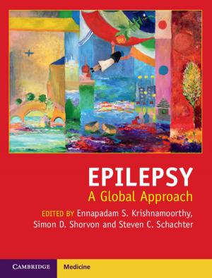 Cover of the book Epilepsy by José Luis Bermúdez
