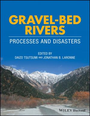 Cover of the book Gravel-Bed Rivers by Juha Pyrhonen, Tapani Jokinen, Valeria Hrabovcova