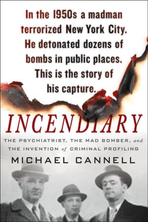 Cover of the book Incendiary by Paul Doiron
