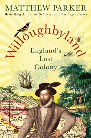 Book cover of Willoughbyland