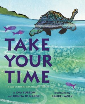 Cover of the book Take Your Time by Sara Maitland