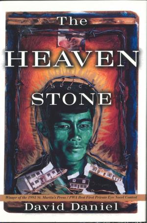 Cover of the book The Heaven Stone by Daniel Kohanski