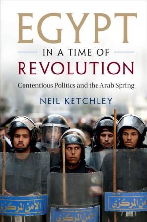 Cover of the book Egypt in a Time of Revolution by Kirsten Rodine-Hardy