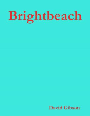 Book cover of Brightbeach
