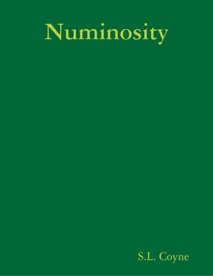 Cover of the book Numinosity by Tony Kelbrat