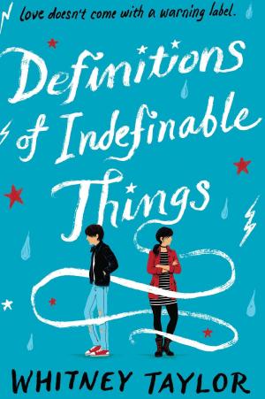 Cover of the book Definitions of Indefinable Things by Pat Miller