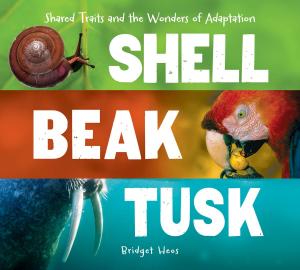 Cover of the book Shell, Beak, Tusk by The Jim Henson Company