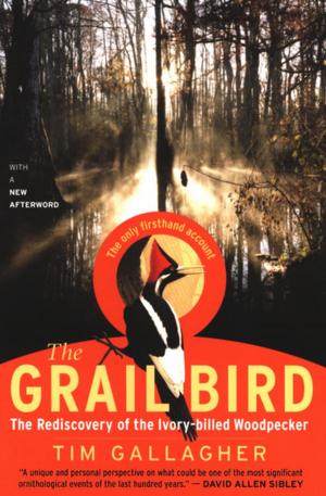 Cover of the book The Grail Bird by Tracy Barrett