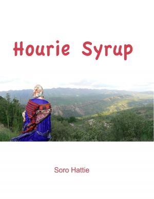 Cover of the book Hourie Syrup by Raymond Obeng